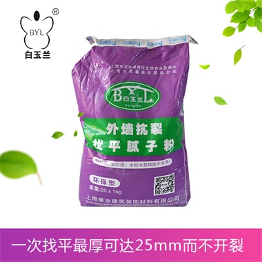 外墻抗裂找平膩子粉（真石漆、彩石漆、水包水基礎找平專用）